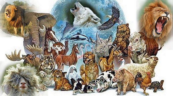 LECON DE VOCABULATRE