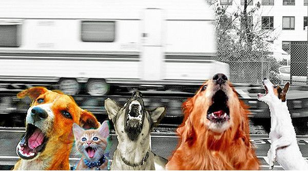 LA CARAVANE PASSE   LES CHIENS ABOIENT