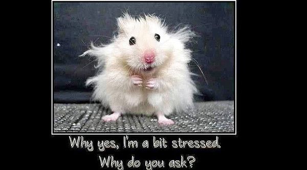 CELA EST INACCEPTTABLE     