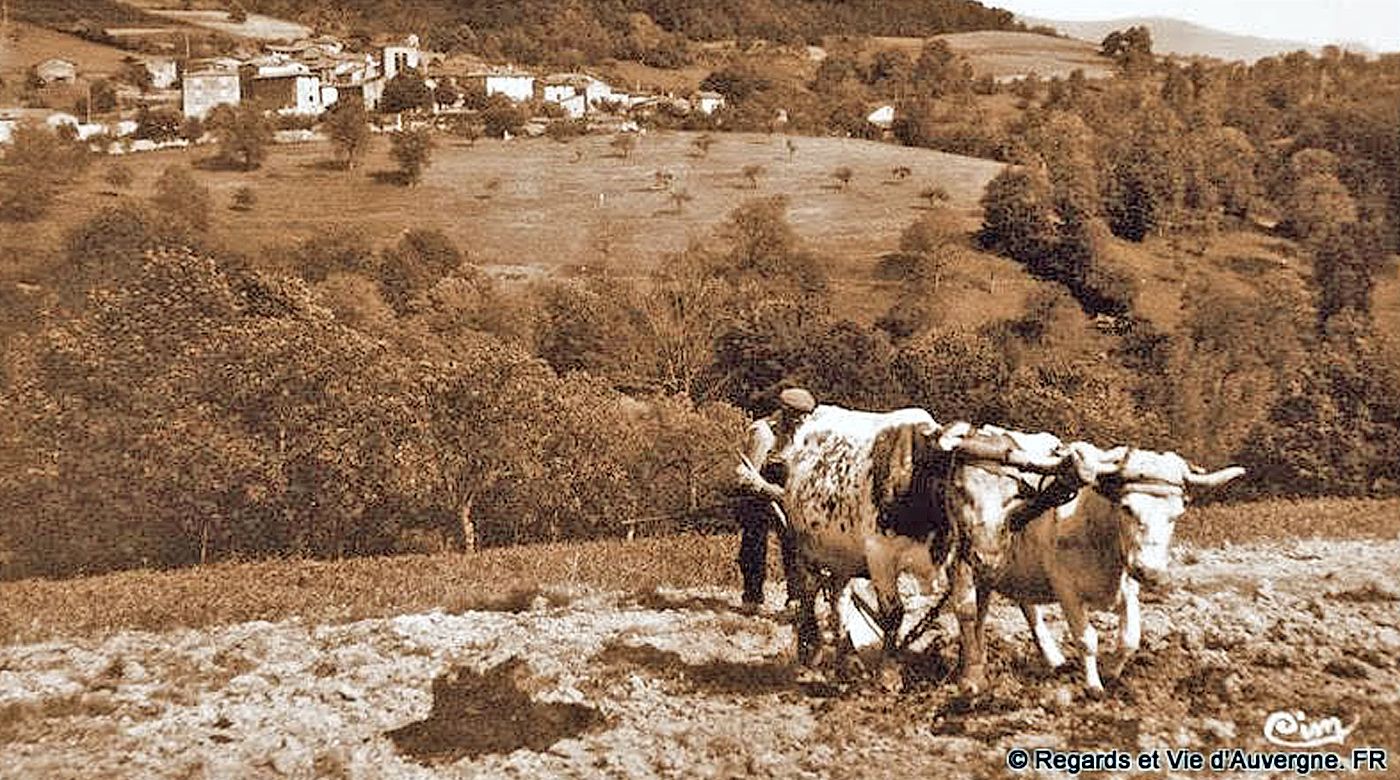 Labourage Et Pâturages Sont Les Deux Mamelles De La France