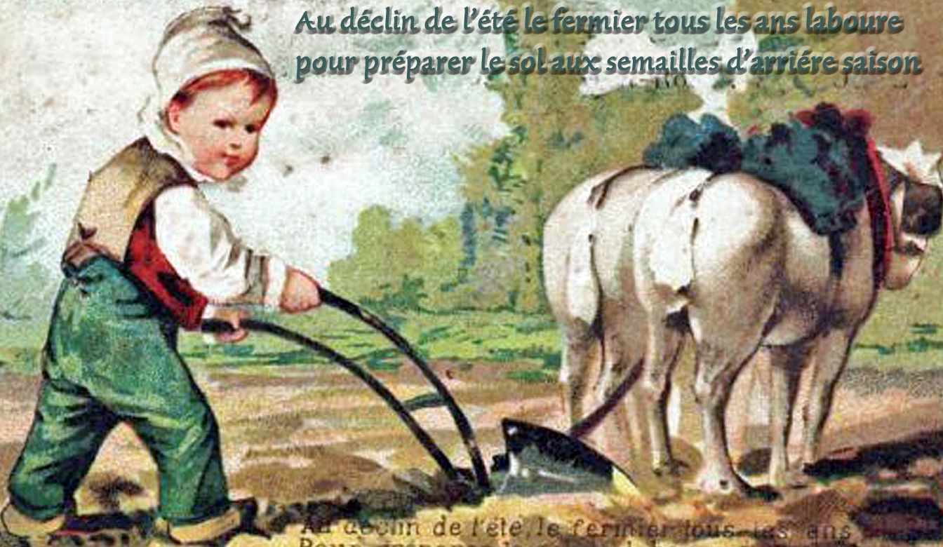Labourage Et Paturage Sont Les 2 Mamelles De La France Labourages et paturages..